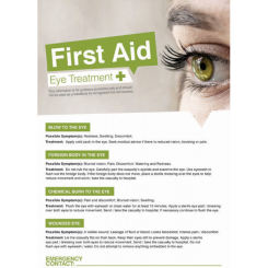 First Aid Eyes Encapsulated Poster 420 x 594mm